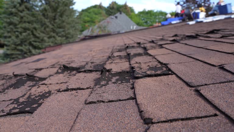 Best Roofing for New Construction  in Gladeville, TN